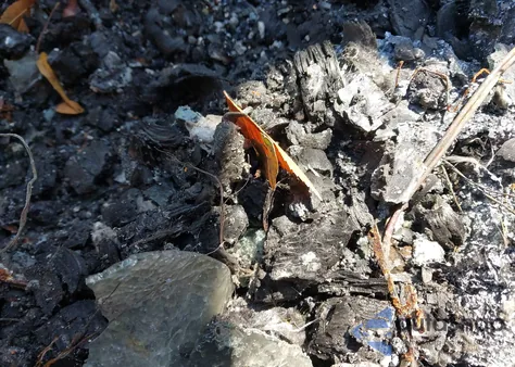 2013 Jaguar Xf V6 Sc from USA, damaged, VIN SAJWA0E79D8S68566